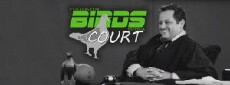Birds Court (2015) - Stream Online