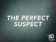 The Perfect Suspect (2017) - Stream Online
