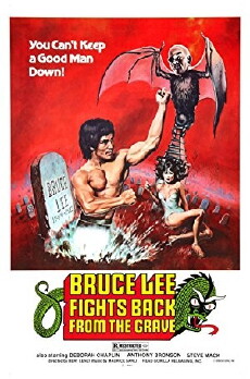 Bruce Lee Fights Back from the Grave (1976) - Stream Online