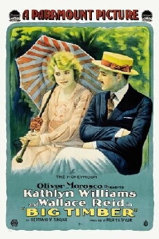 Big Timber (1917) - Stream Online