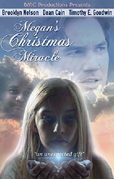 Megan's Christmas Miracle (2018) - Stream Online