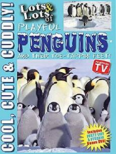 Lots and Lots of Playful Penguins: Cool, Cute and Cuddly Penguins Penguins (2016) - Stream Online