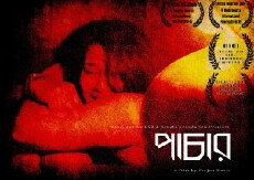 Pachar: Palter (2015) - Stream Online