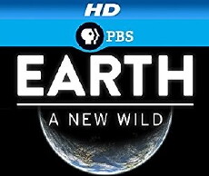 EARTH a New Wild (2015) - Stream Online