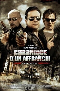 Chronique d'un Affranchi (2012) - Stream Online