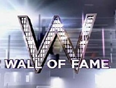 Wall of Fame (2011) - Stream Online