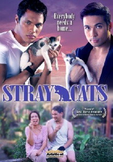 Stray Cats (2005) - Stream Online