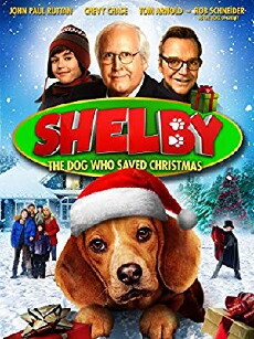 Shelby (2014) - Stream Online