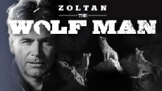 Zoltan, the WolfMan (2015) - Stream Online