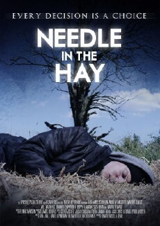 Needle in the Hay (2011) - Stream Online