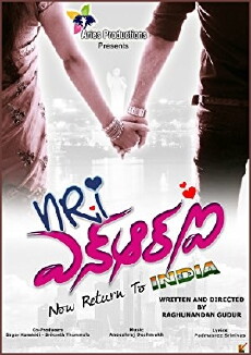 NRI: Now Return to India (2013) - Stream Online