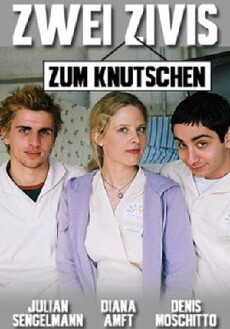 Zwei Zivis zum Knutschen (2008) - Stream Online