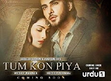 Tum Kon Piya (2016) - Stream Online