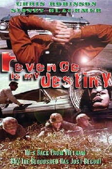 Revenge Is My Destiny (1971) - Stream Online