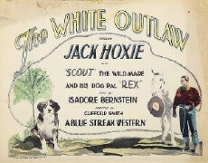 The White Outlaw (1925) - Stream Online
