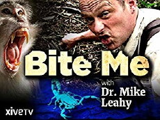 Bite Me with Dr. Mike (2009) - Stream Online