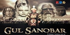 Gul Sanobar (1999) - Stream Online