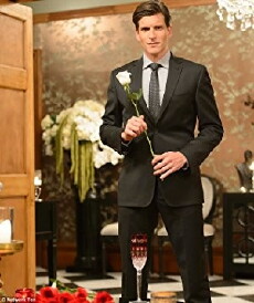The Bachelor Australia (2013) - Stream Online