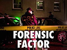 F2: Forensic Factor (2003) - Stream Online