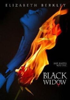 Black Widow (2008) - Stream Online