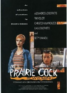 O tsalapeteinos tou Wyoming (1995) - Stream Online