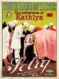 The Adventures of Kathlyn (1913) - Stream Online