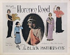 The Black Panther's Cub (1921) - Stream Online