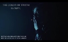 The Color of Truth Is Grey (2016) - Stream Online