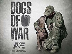 Dogs of War (2014) - Stream Online