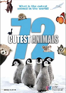 72 Cutest Animals (2016) - Stream Online
