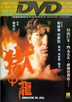 Dragon in Jail (1990) - Stream Online