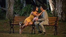 Dog Days (2018) - Stream Online