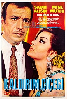 Kaldirim çiçegi (1969) - Stream Online