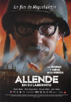 Allende en su laberinto (2014) - Stream Online