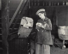 The Foundling (1915) - Stream Online