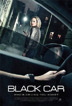 The Wrong Car (2016) - Stream Online