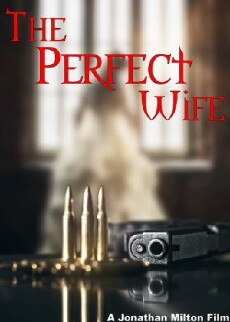 The Perfect Wife (2017) - Stream Online
