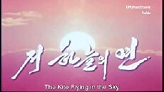 The Kites Flying in the Sky (2008) - Stream Online