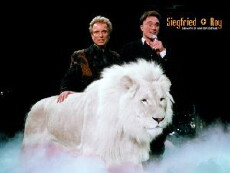Siegfried and Roy Film (2017) - Stream Online