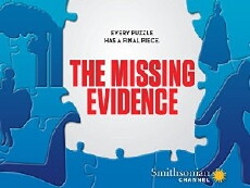 The Missing Evidence (2014) - Stream Online