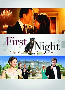 1st Night (2010) - Stream Online