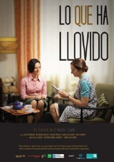 Lo que ha llovido (2011) - Stream Online