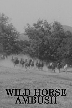 Wild Horse Ambush (1952) - Stream Online