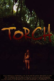 Torch (2017) - Stream Online