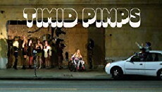 Timid Pimps (2014) - Stream Online