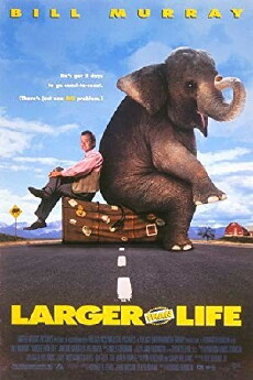 Larger Than Life (1996) - Stream Online
