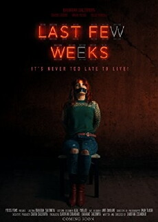 Last Few Weeks (2018) - Stream Online