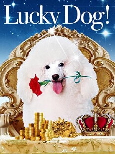 Lucky Dog (2008) - Stream Online