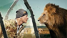 Predators Up Close with Joel Lambert (2015) - Stream Online