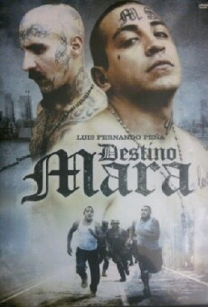 Destino Mara (2010) - Stream Online